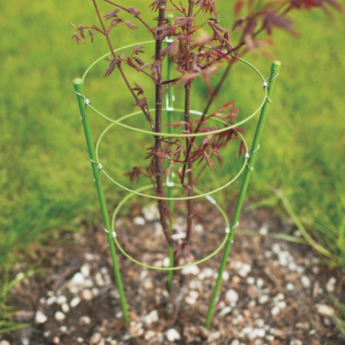 Grow1 Foldable Plant Support Cage 4