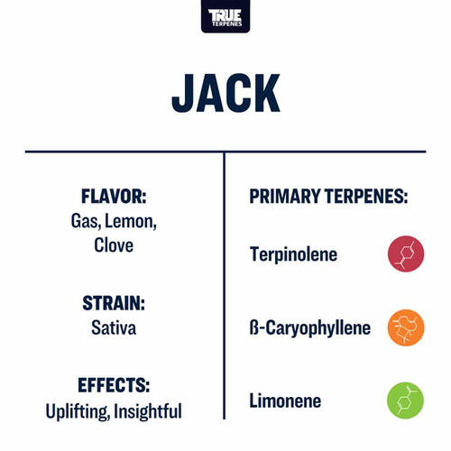 True Terpenes Jack Herrer Profile Precision 15ml