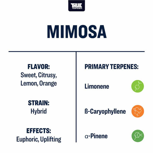 True Terpenes Mimosa Profile 1oz