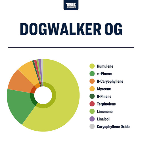 True Terpenes Dogwalker OG Profile 4oz