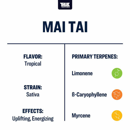 True Terpenes Mai Tai Profile Infused 4oz