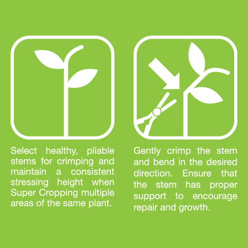 Grow1 Super Cropper Tool Green