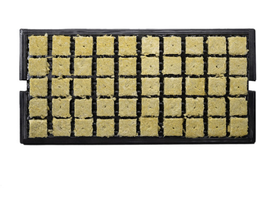 Grodan 1.5 AO prefilled tray, case of 1,500