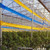 GROW1 Sticky Tape Roll Double-Sided Blue 12in x 328ft