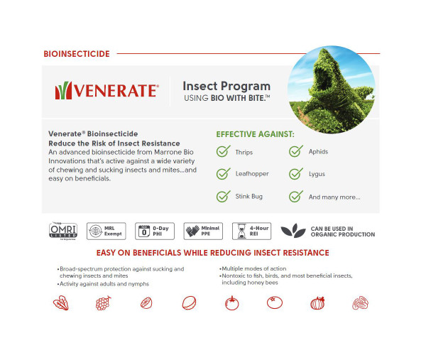 Marrone Bio Venerate CGreg Bioinsecticide, 2.5 gal
