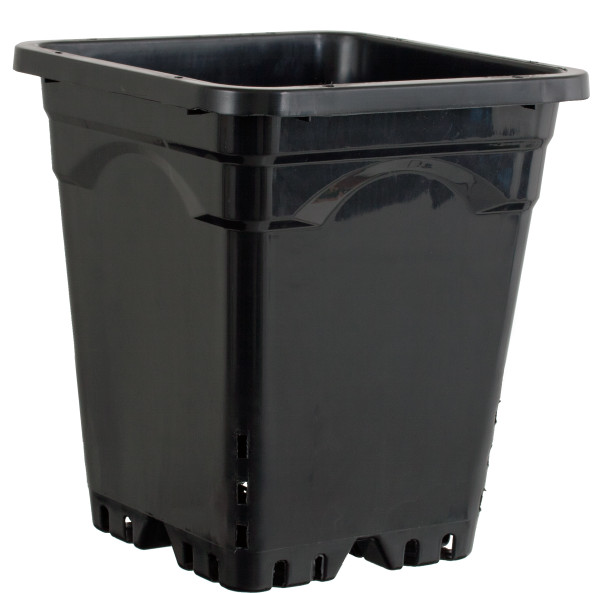 Active Aqua 9 x 9 Square Black Pot, 10 Tall, case of 24