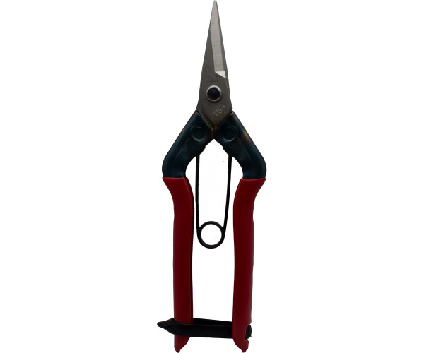 Chikamasa B500S Pruning Scissors, SS/35 mm