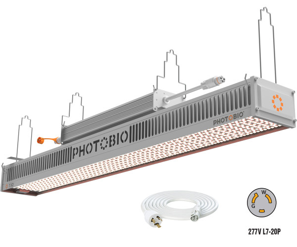 PHOTOBIO TX2 LED, 800W, 200-480V S5, 10 277V L7-20P Cord