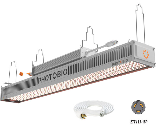 PHOTOBIO TX2 LED, 800W, 200-480V S5, 10 277V L7-15P Cord