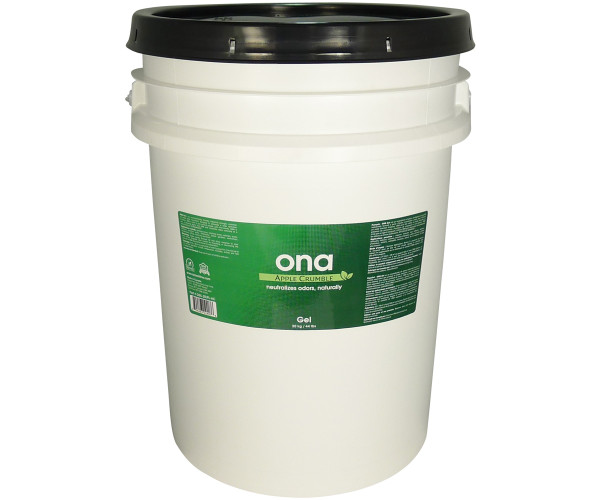 Ona Gel, Apple Crumble, 20 L