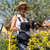 FITT Lily