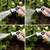 FITT NTS Master Plus with spray gun