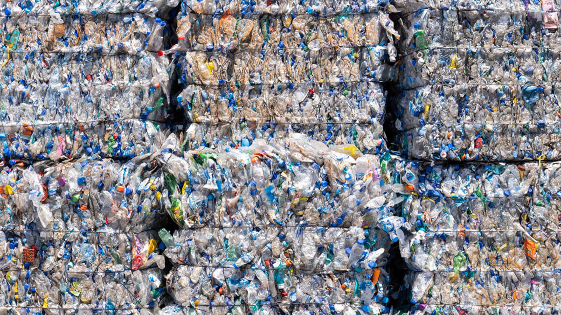 Datos científicos: cómo los hace accesibles FITT