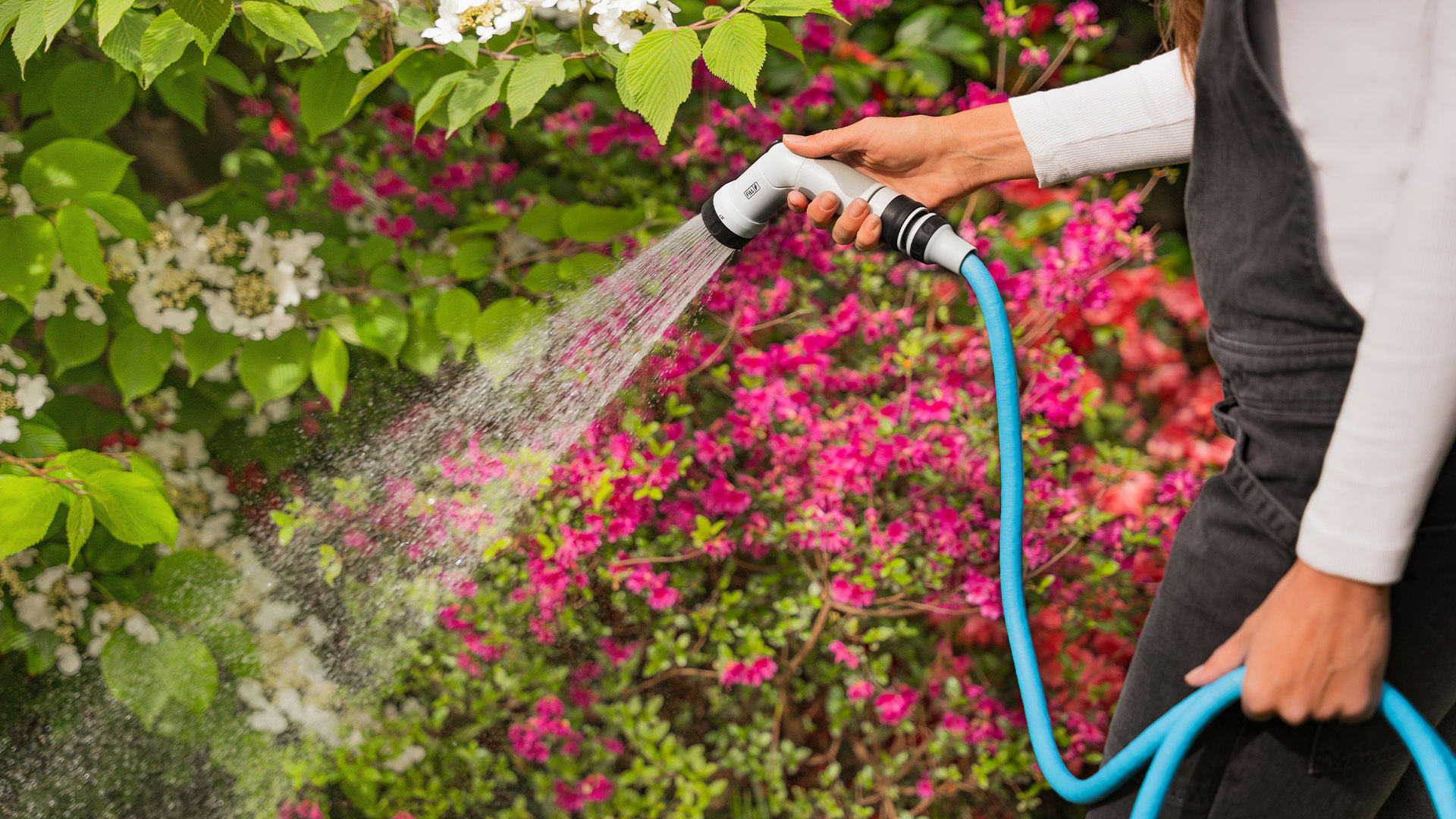 Un regalo di Natale... ultraleggero ed estensibile