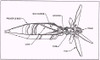 84mm M136 High Explosive Anti-Tank Projectile