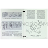Technical Manual (TM 3-4240-216-12) for M13 20CFM Tank Gas-Particulate Filter Unit February 1963