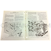 Technical Manual (TM 9-1240-291-35) for XM7 Telescope Mount Holder May 1962