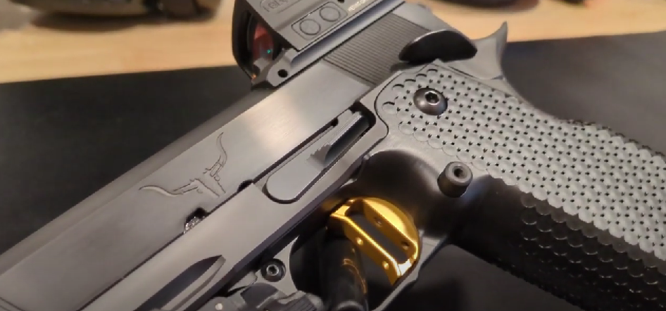 Hayes Custom Cobra HC1911: The Best 2011 You've Never Heard Of - Hayes ...