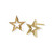 Open Star Earring