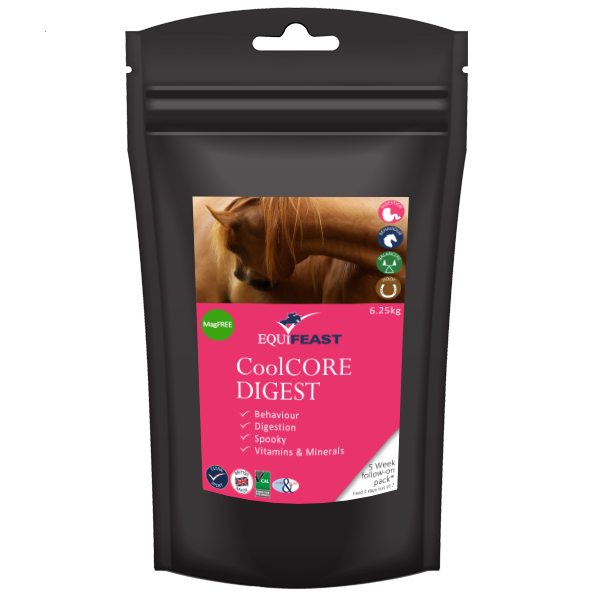 CoolCORE Digest Follow on Packs feed balancer with added horse calmer