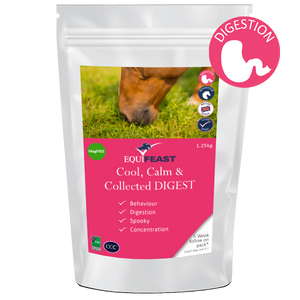 Cool, Calm & Collected DIGEST Follow-On packs - Calming with digestive support Cool, Calm & Collected DIGEST Follow-On packs - Calming with digestive support