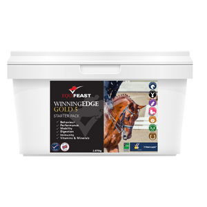 WINNINGEDGE Gold (5 day only) STARTER - Magnesium Free Balancer, Chelated Calcium "Brain Food", Mobility, Immunity, Stamina - Follow On Pack is £20 cheaper WINNINGEDGE Gold (5 day only) STARTER - Magnesium Free Balancer, Chelated Calcium "Brain Food", Mobility, Immunity, Stamina - Follow On Pack is £20 cheaper
