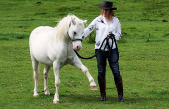 You don't always need a calmer (Sam Waddington) You don't always need a calmer (Sam Waddington)