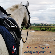 Try Something New during Lockdown 3.0 - A "No Added Magnesium" Diet for much better behaviour.