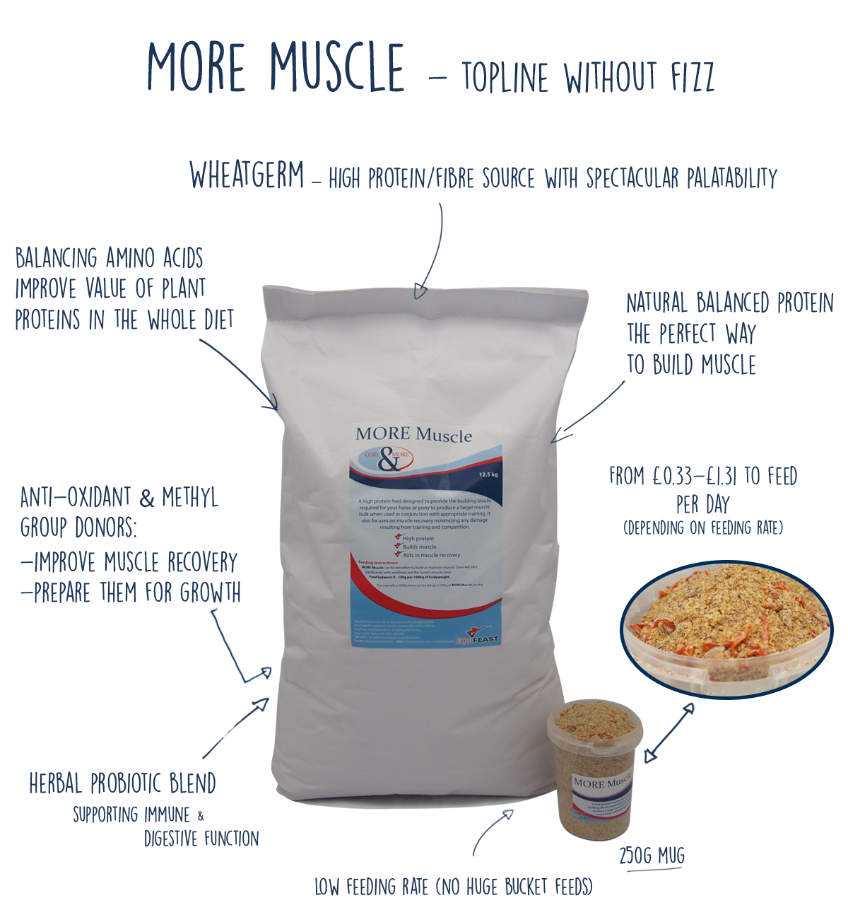 In the Spotlight MORE Muscle EquiFeast Horse feeds & supplements