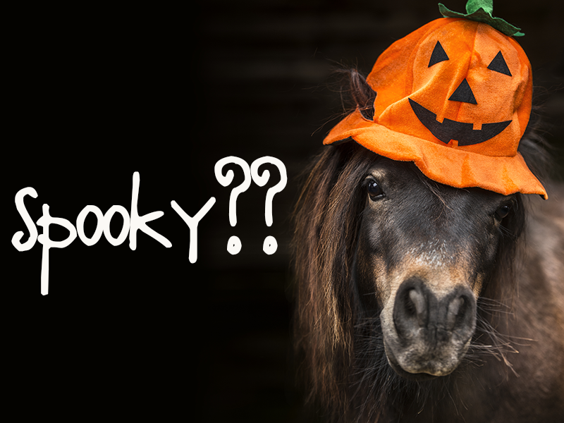 HOW TO KEEP THE SPOOKS TO HALLOWEEN AND NOT YOUR HORSE EquiFeast