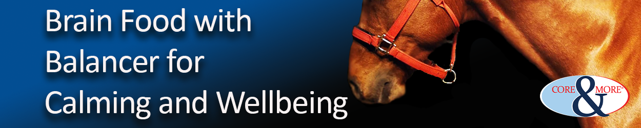 wellbeing.png