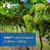 ONLINE Wine & Spirit Education Trust (WSET) Level 2 - 13/05/24