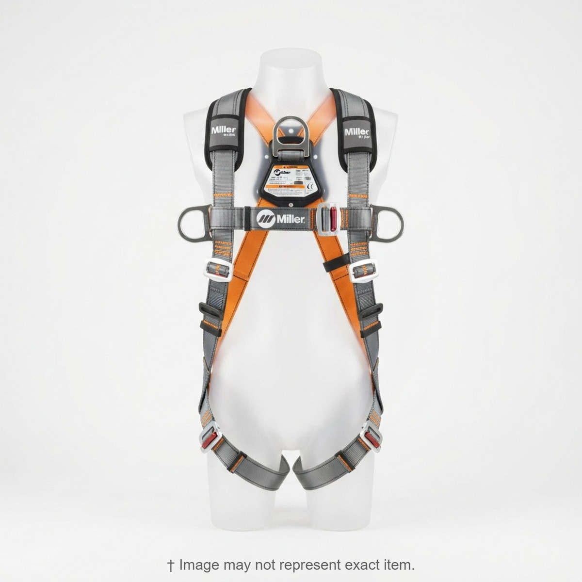 Generic Main Image