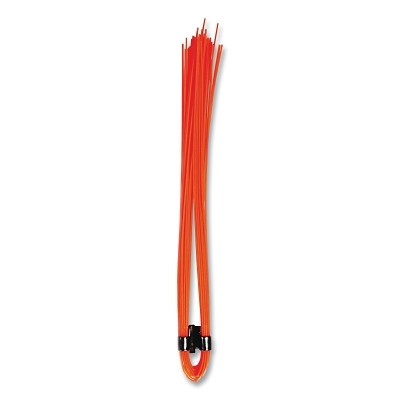 MARKING WHISKERS ORANGEGLO