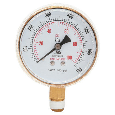 BW 2-1/2X100 BRASS REPLACEMENT GAUGE