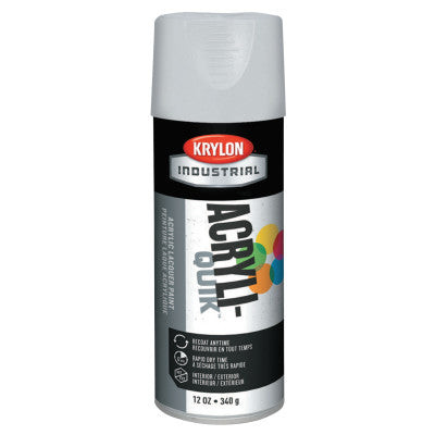 GLOSS WHITE FIVE BALL INTERIOR/EXTERIOR SPRAY PA