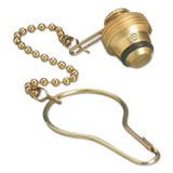CAP & CHAIN ASSEMBLY CAPASSMBLY 500 PSIG POL