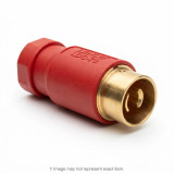 Generic Main Image