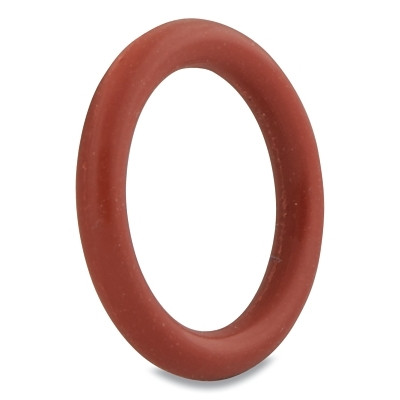 BW 98W18 O-RING