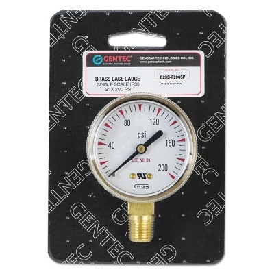 GW 33-G20B-F200P GAUGE 2"X200P