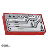 TTHP08 Teng 8pc Hook & Pin Wrench Set - TC-Tray