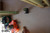 012-LX25GP iMEX LX25GP Line And Dot Laser Green Beam Series II
