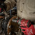 49666229 Milwaukee SHOCKWAVE™ 1/2in Drive 15/16in Deep 6 Point Impact Socket