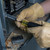 A-32510 Klein Magnetic Screwdriver with 32 Tamperproof Bits