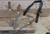 NX-RSP3-200 Narex Set of Rasps  200mm