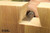 NX-CH6-WPR-BV-WB Narex Wood Line Plus Premium Bevel Edge Chisels : 6 Piece Set in Wooden Presentation Box 