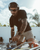 REVMBSMP Natty Workwear Rev Matte Black / Smoke Polarised Safety Glasses