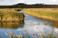 ​Snape Maltings Music Centre and Shops | Dallaswear