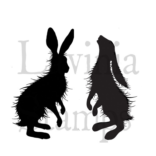 LAV409 Woodland Hares