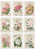 KP0063 CUTOUTS ROSES